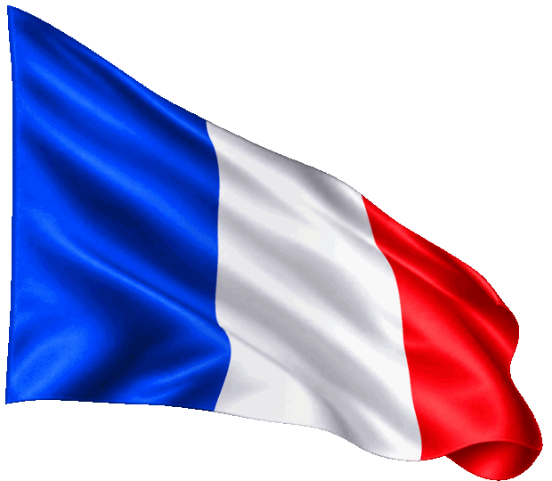 Drapeau français animé